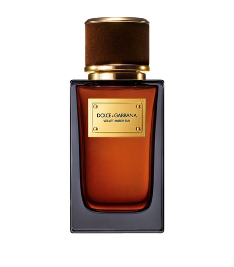 amber sun perfume dolce gabbana.